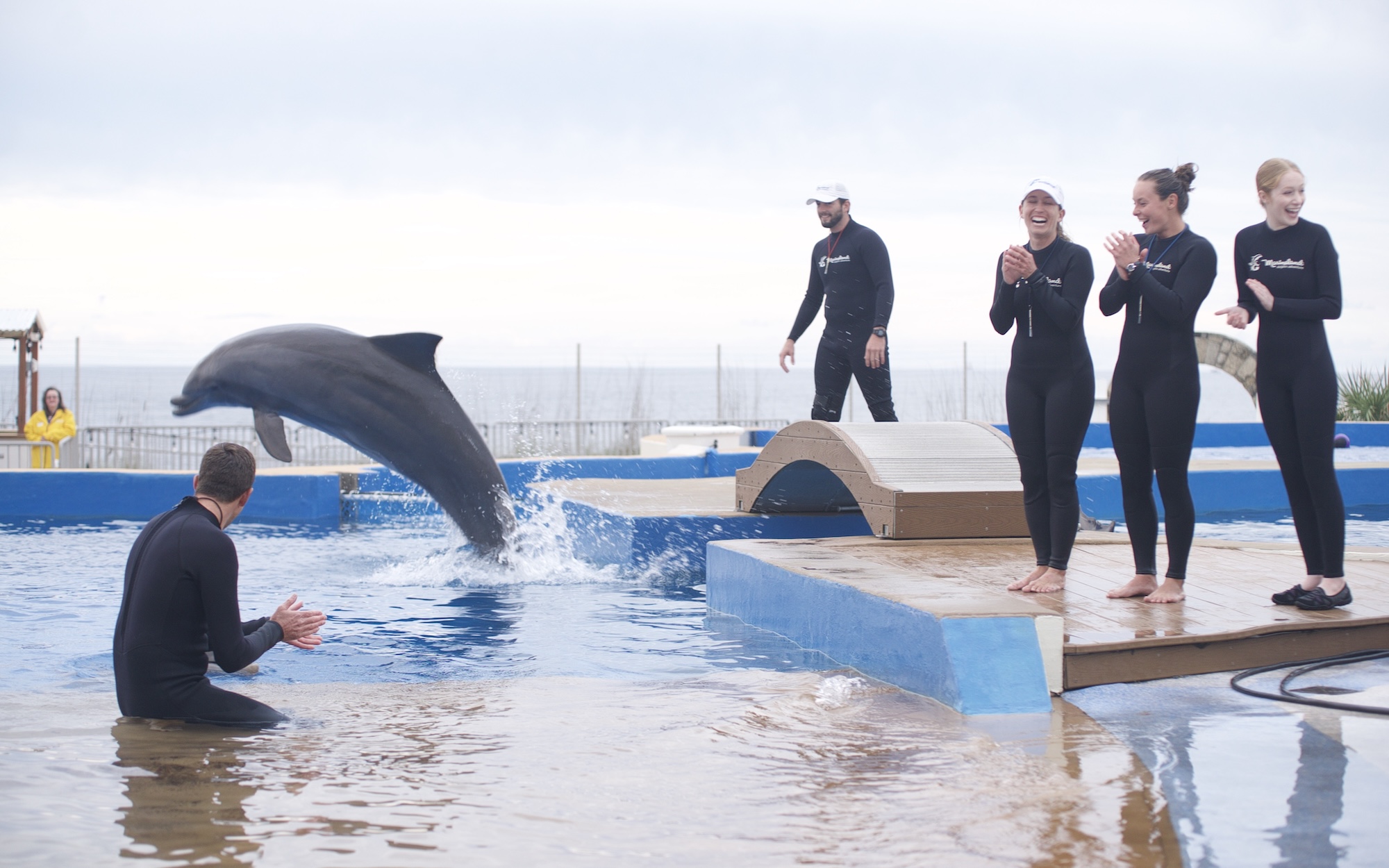 Bernie-Dolphin-image3.jpg