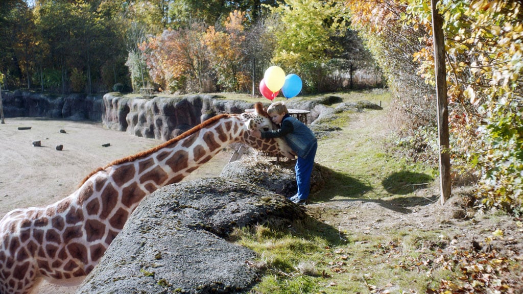 RafGirafe3.jpg