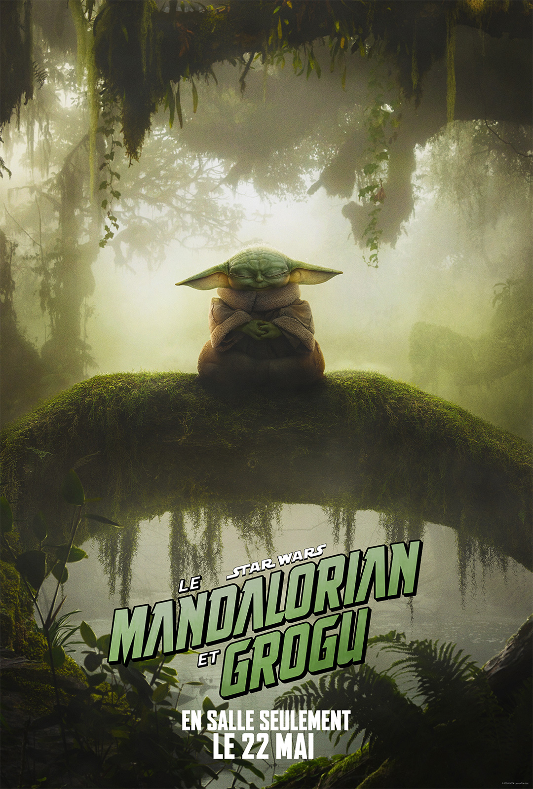 Star Wars: The Mandalorian & Grogu (Star Wars: The Mandalorian and Grogu)