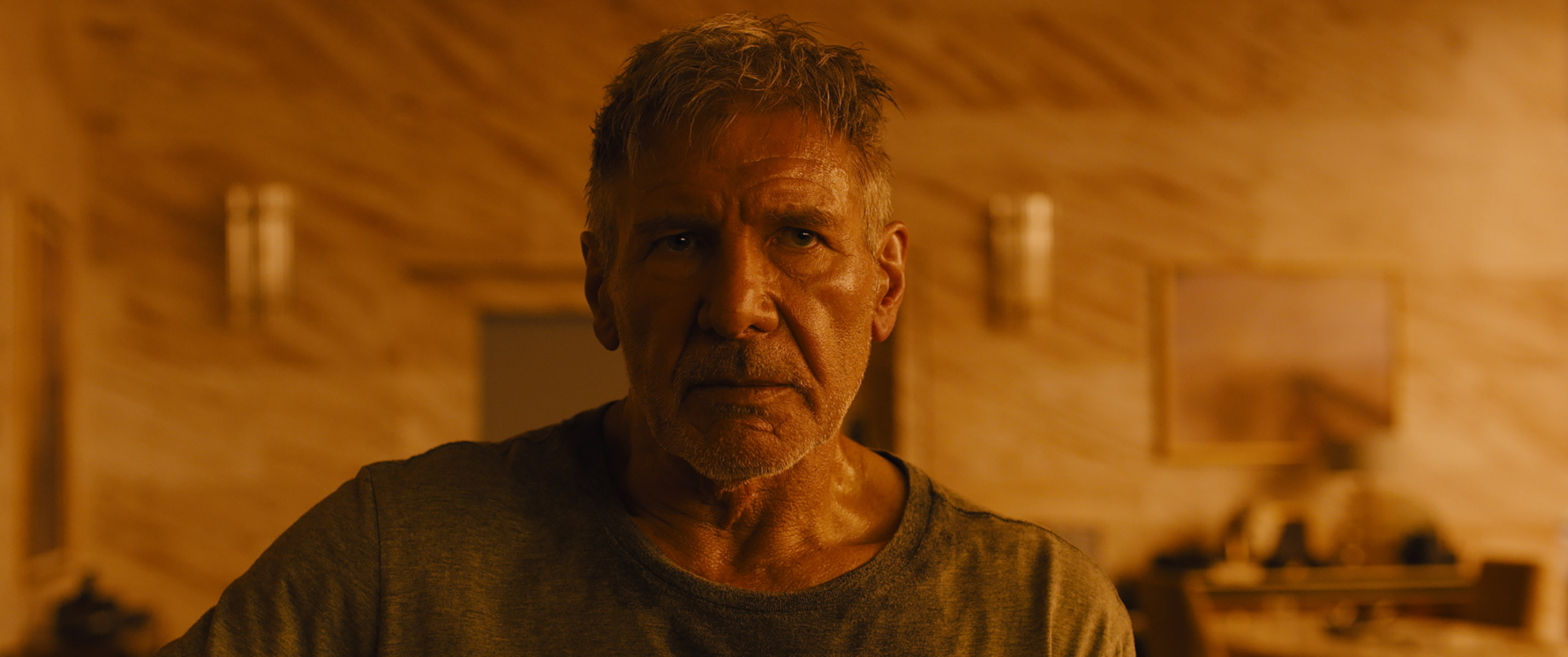 BladeRunnerTwo_HarrisonFord_3.jpg