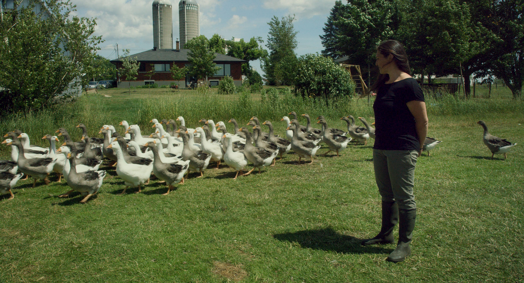 La_Ferme_photo_2.jpg