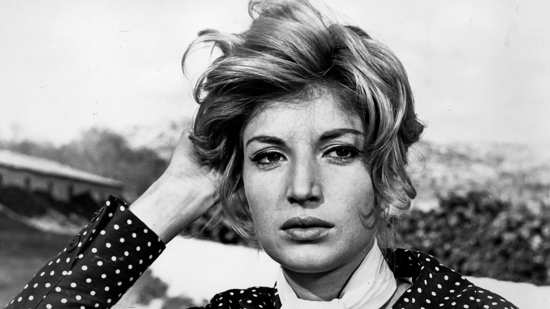 Monica Vitti (1931-2022) image