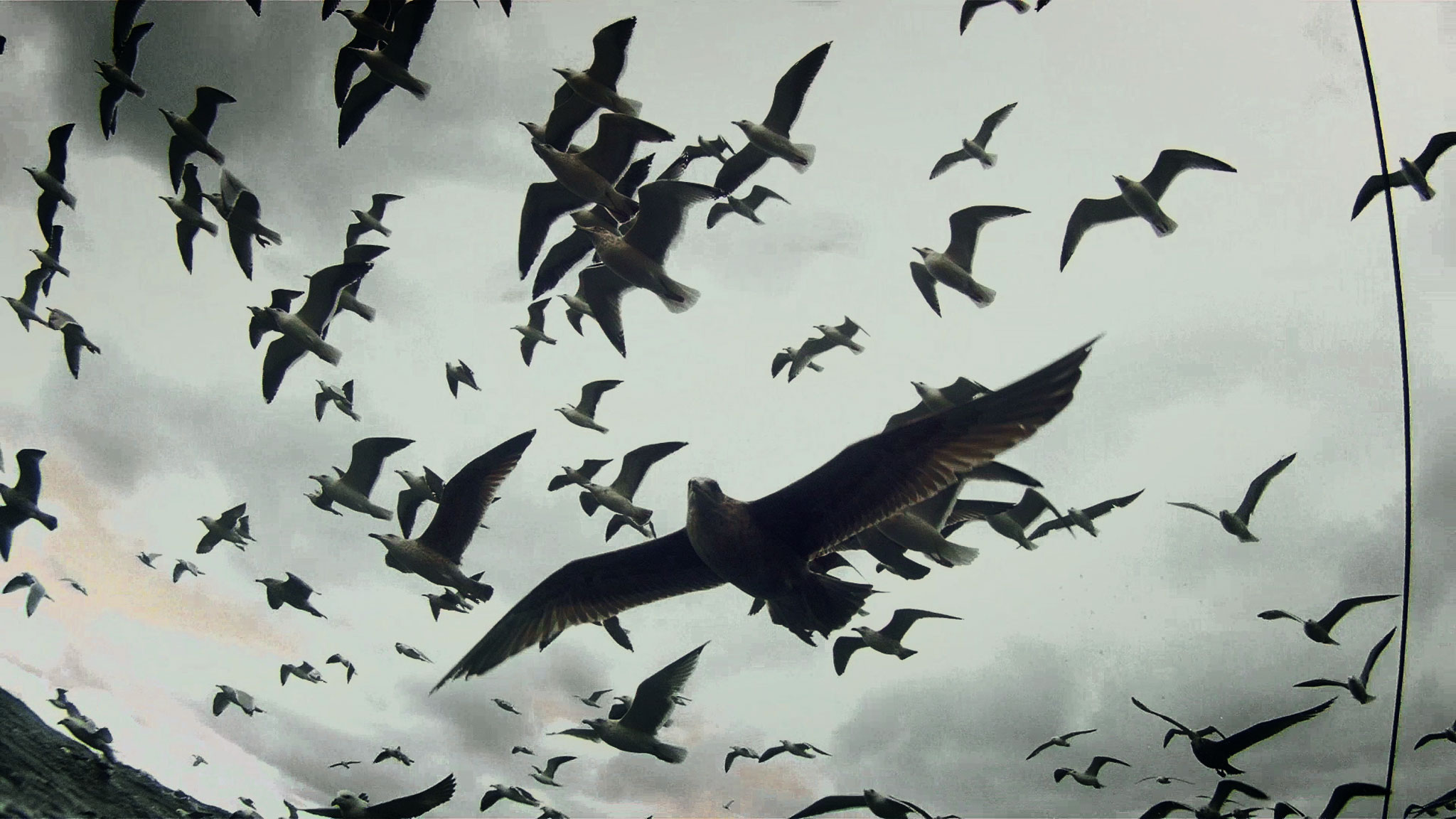 Leviathan6_2048.jpg