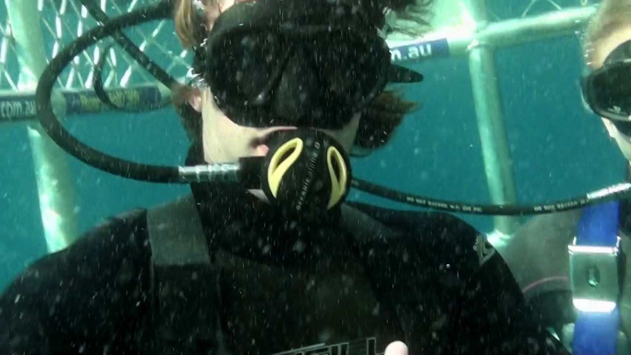 Open-Water-3-image4.jpg