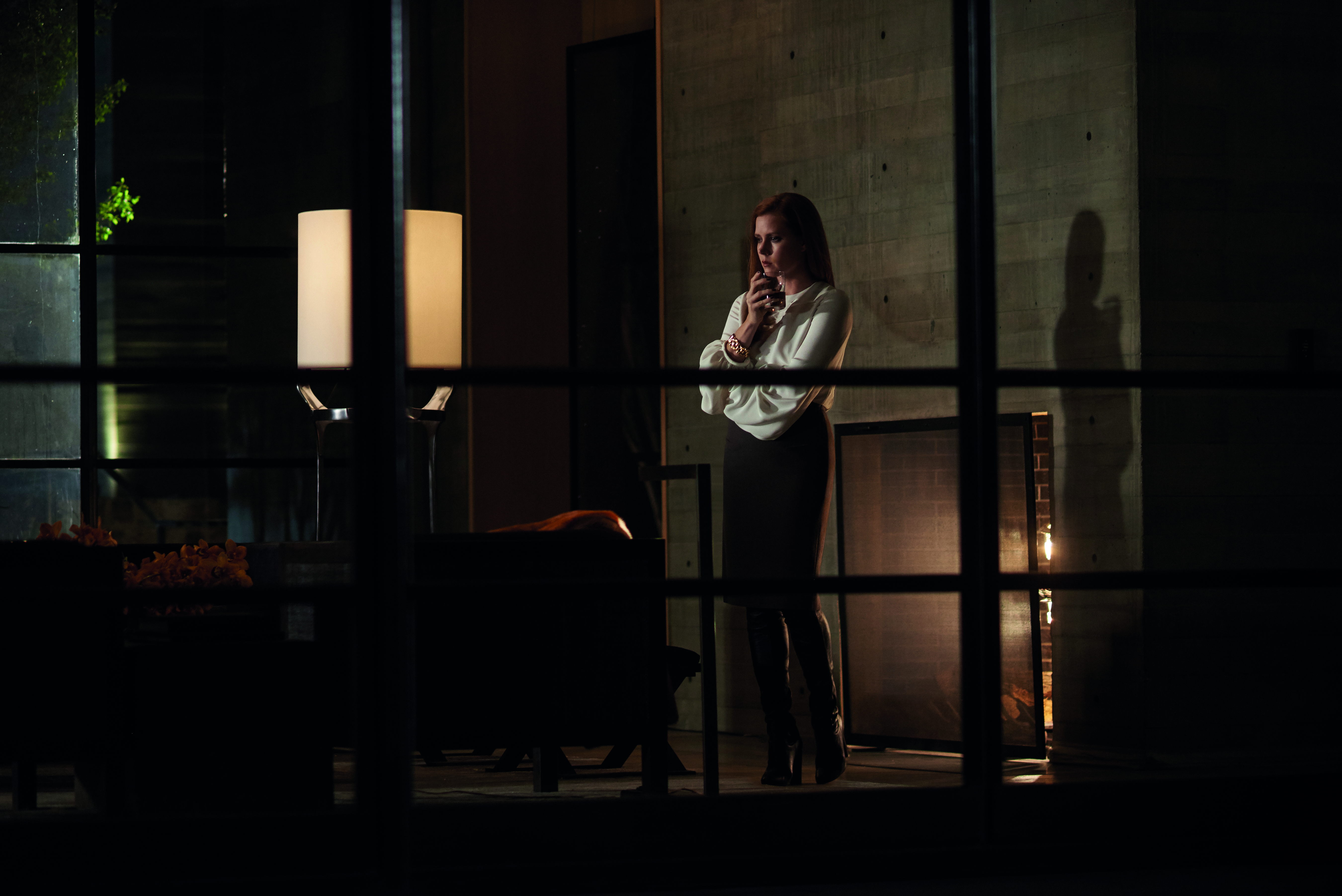 Nocturnal_Animals_AmyAdams_1.jpg