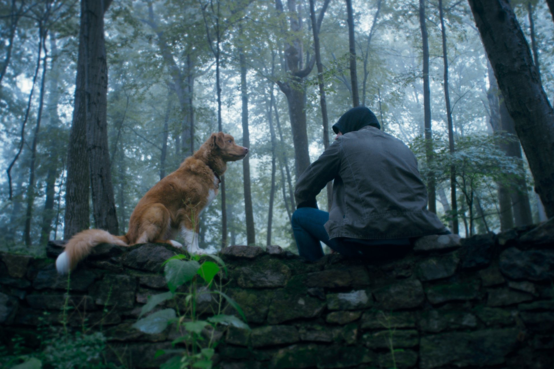 good-boy-03.jpg
