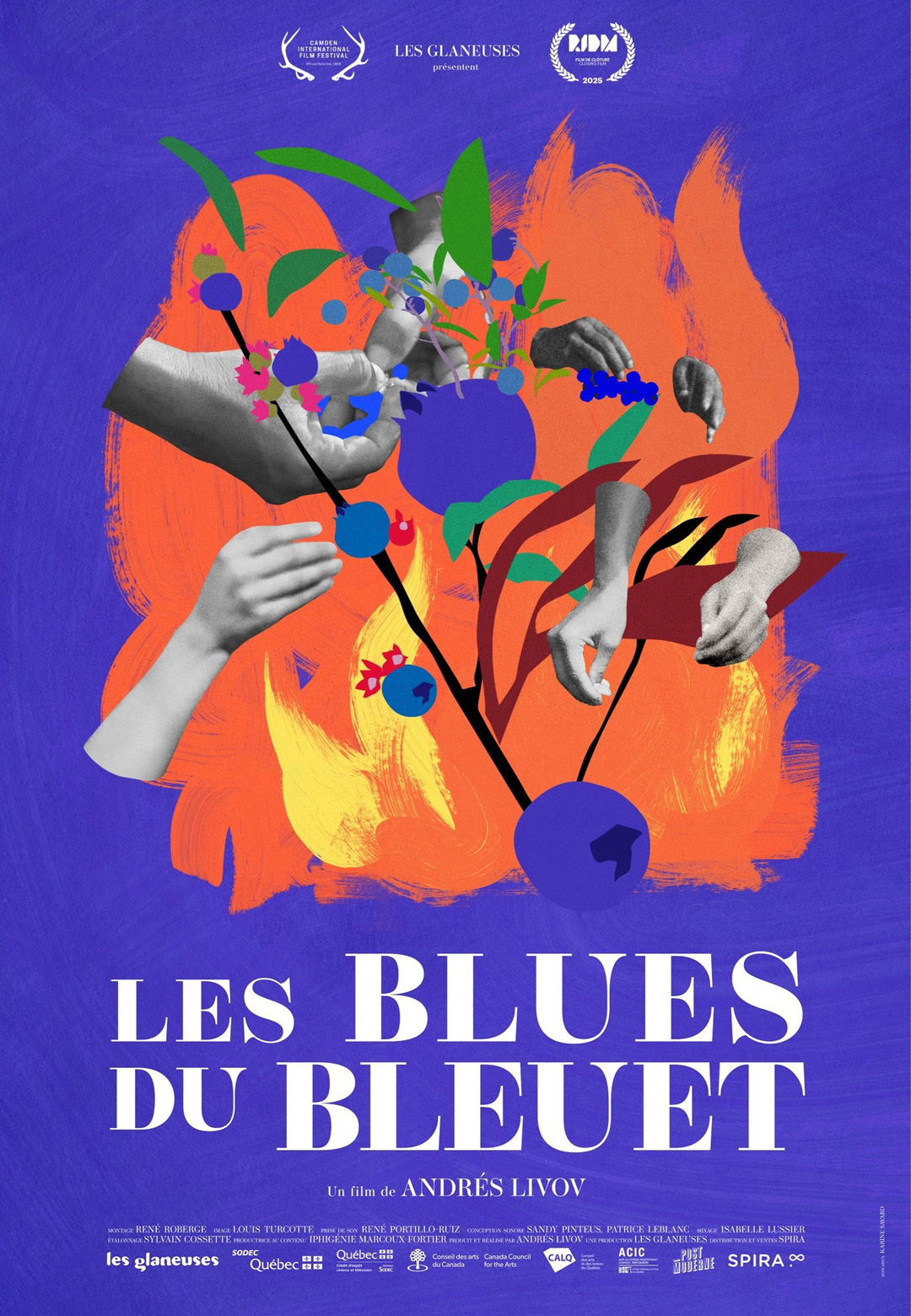 Les Blues du bleuet