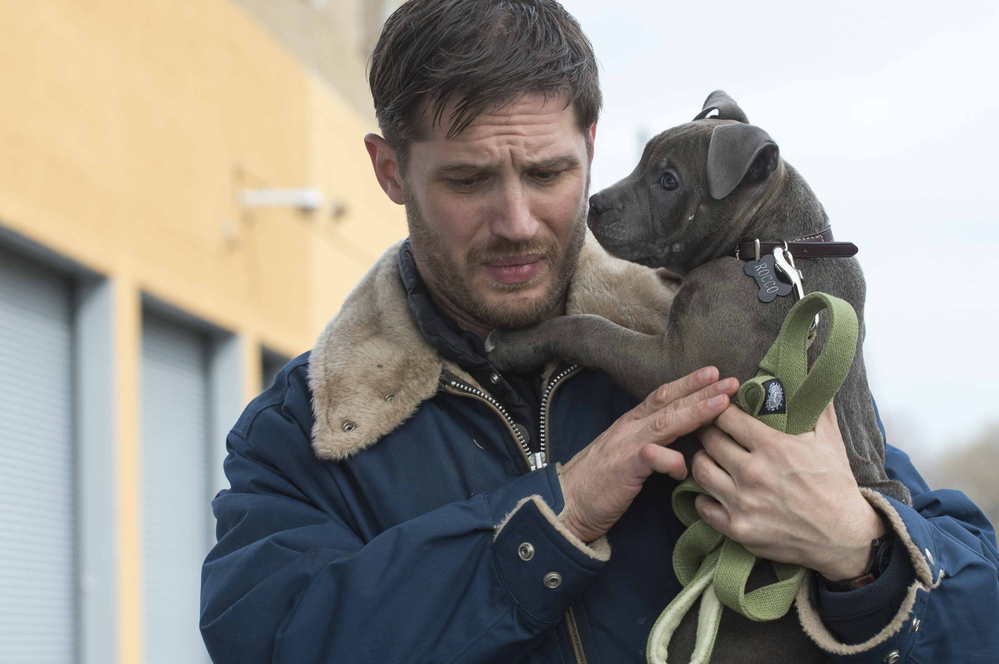 TheDrop_TomHardy_1.jpg