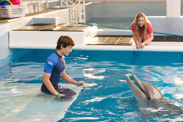 DolphinTale27.jpg