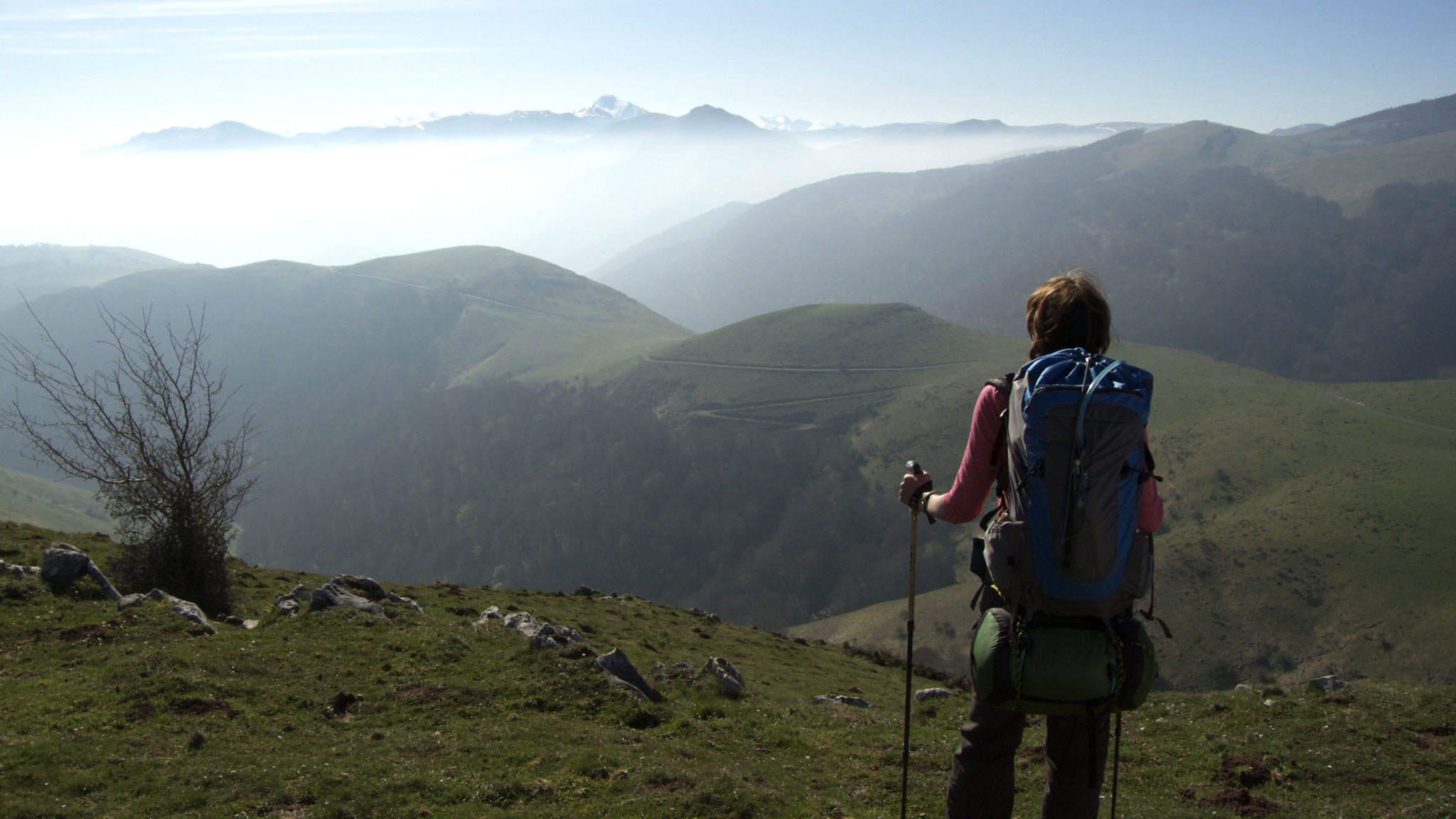 WalkingtheCamino5_2048.jpg