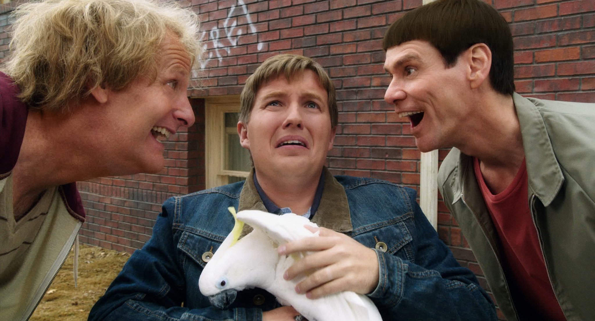 DumbTo8_2048.jpg