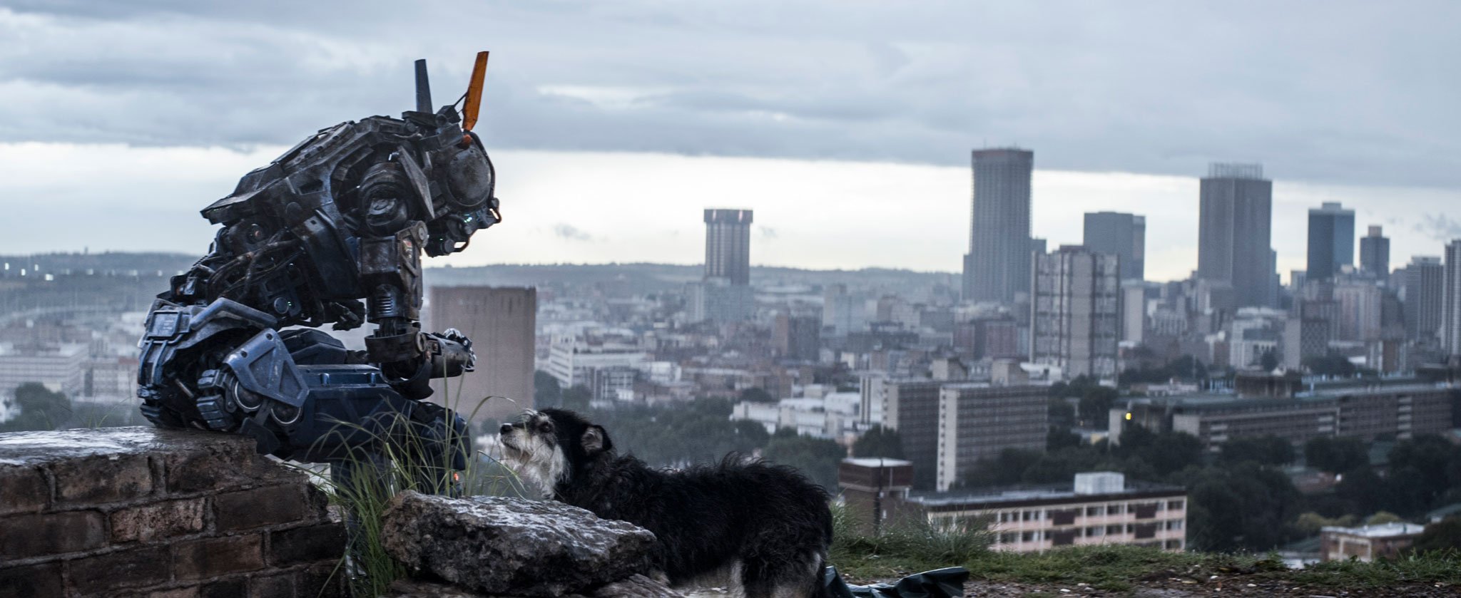 Chappie8_2048.jpg