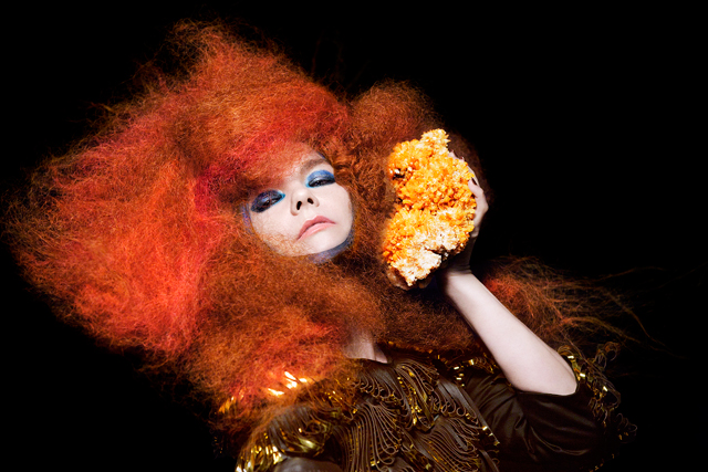 BJork6.jpg