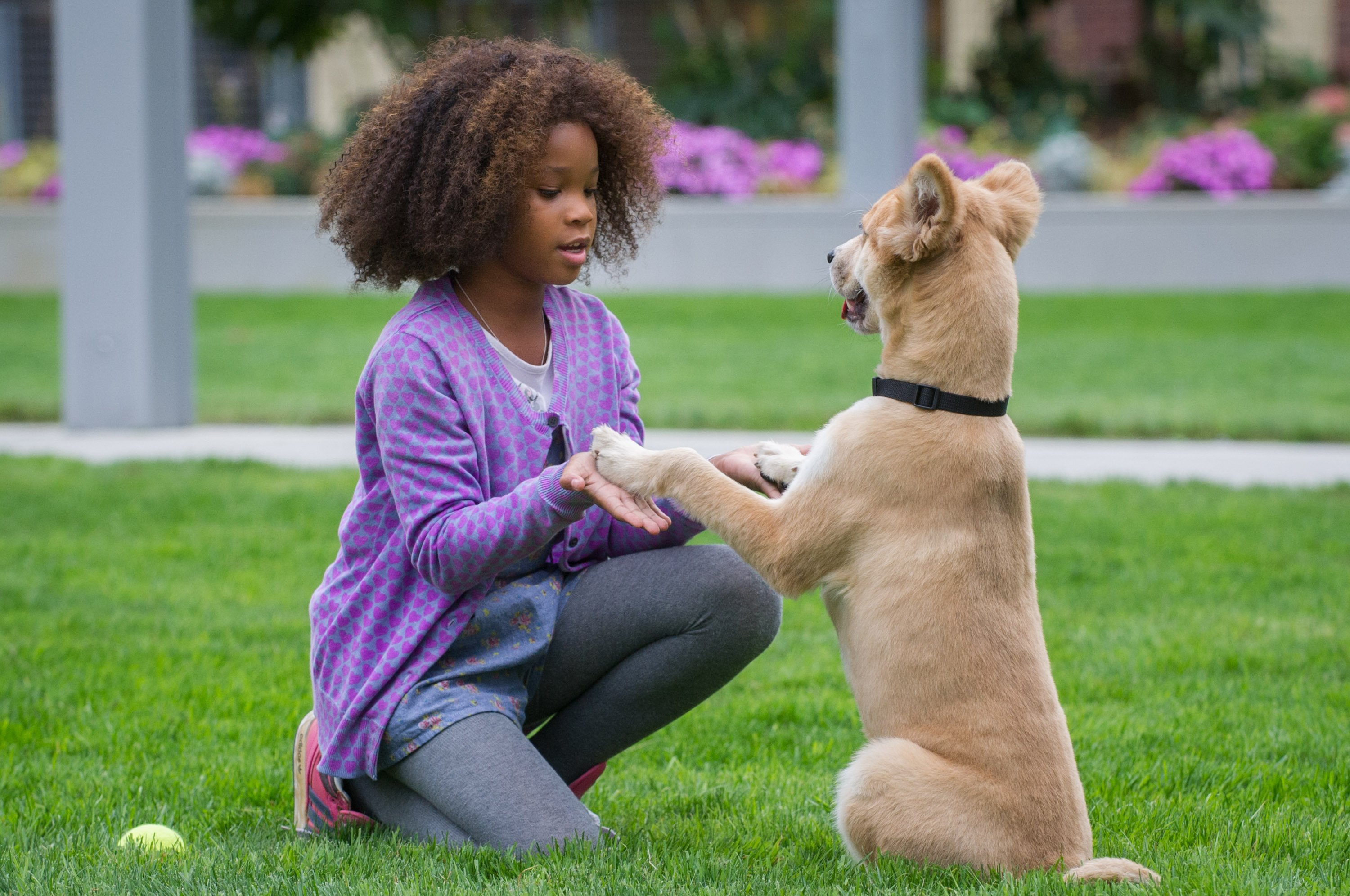 Annie_QuvenzhaneWallis_4.jpg