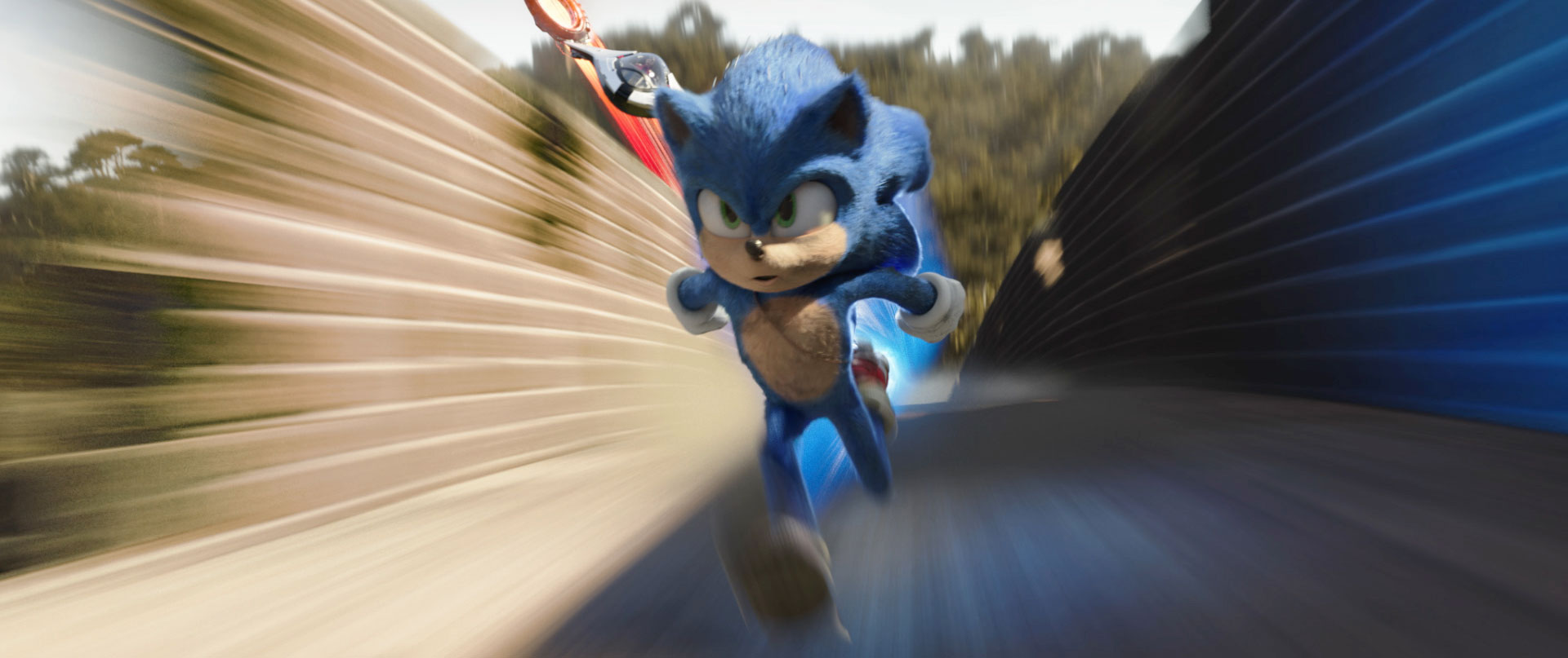 Sonic_Hedgehog7.jpg