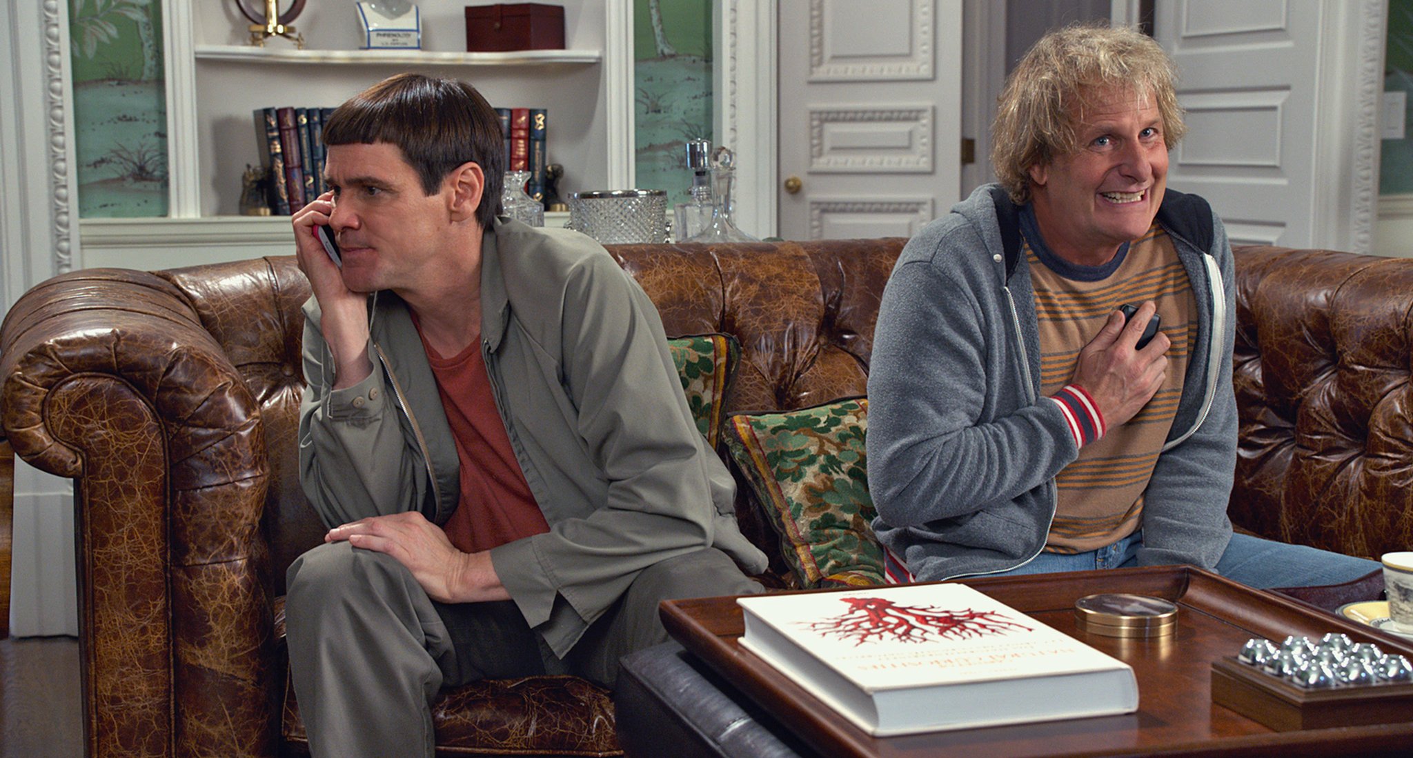 DumbTo7_2048.jpg