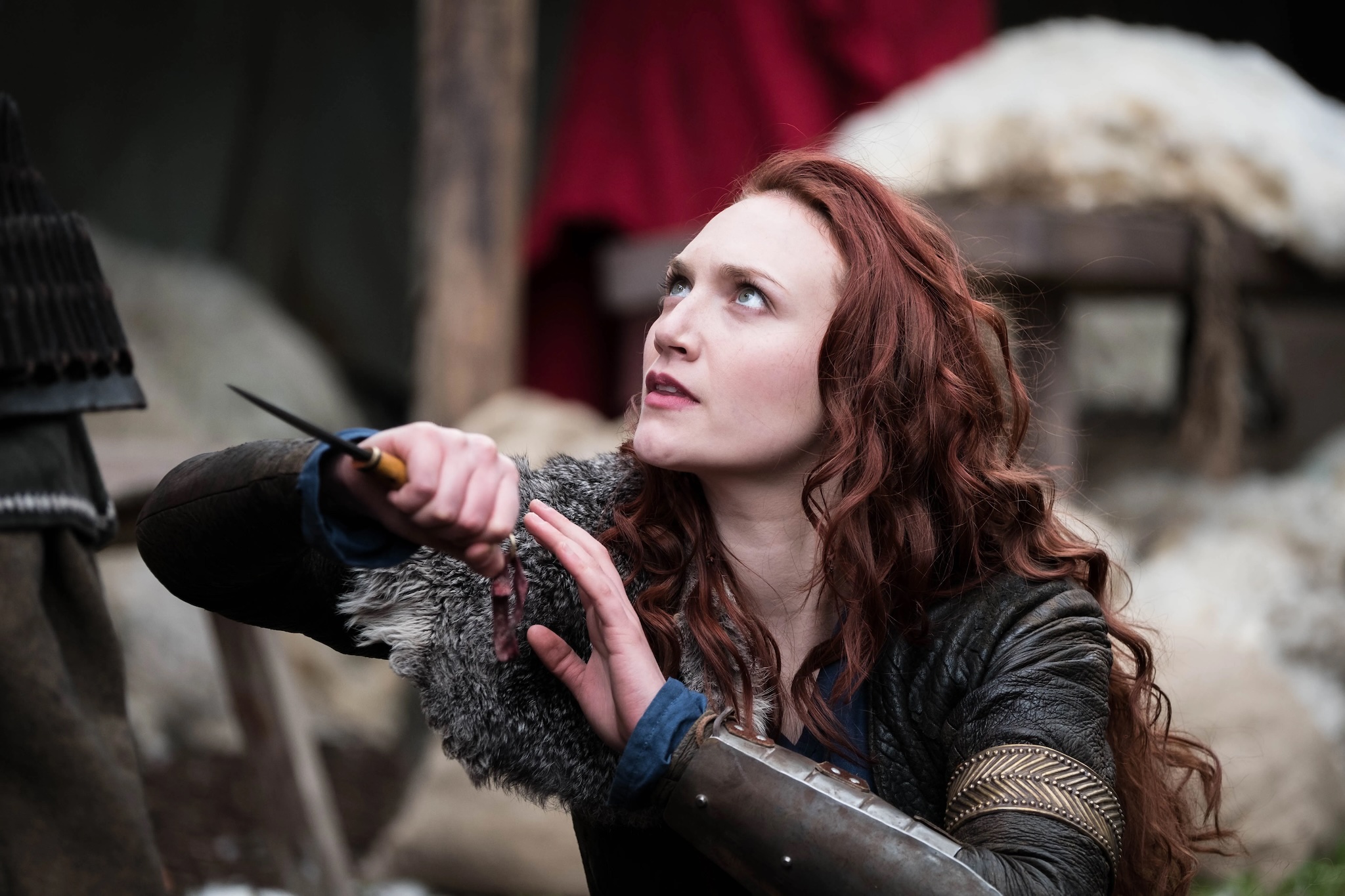 Viking-Destiny-image5.jpg