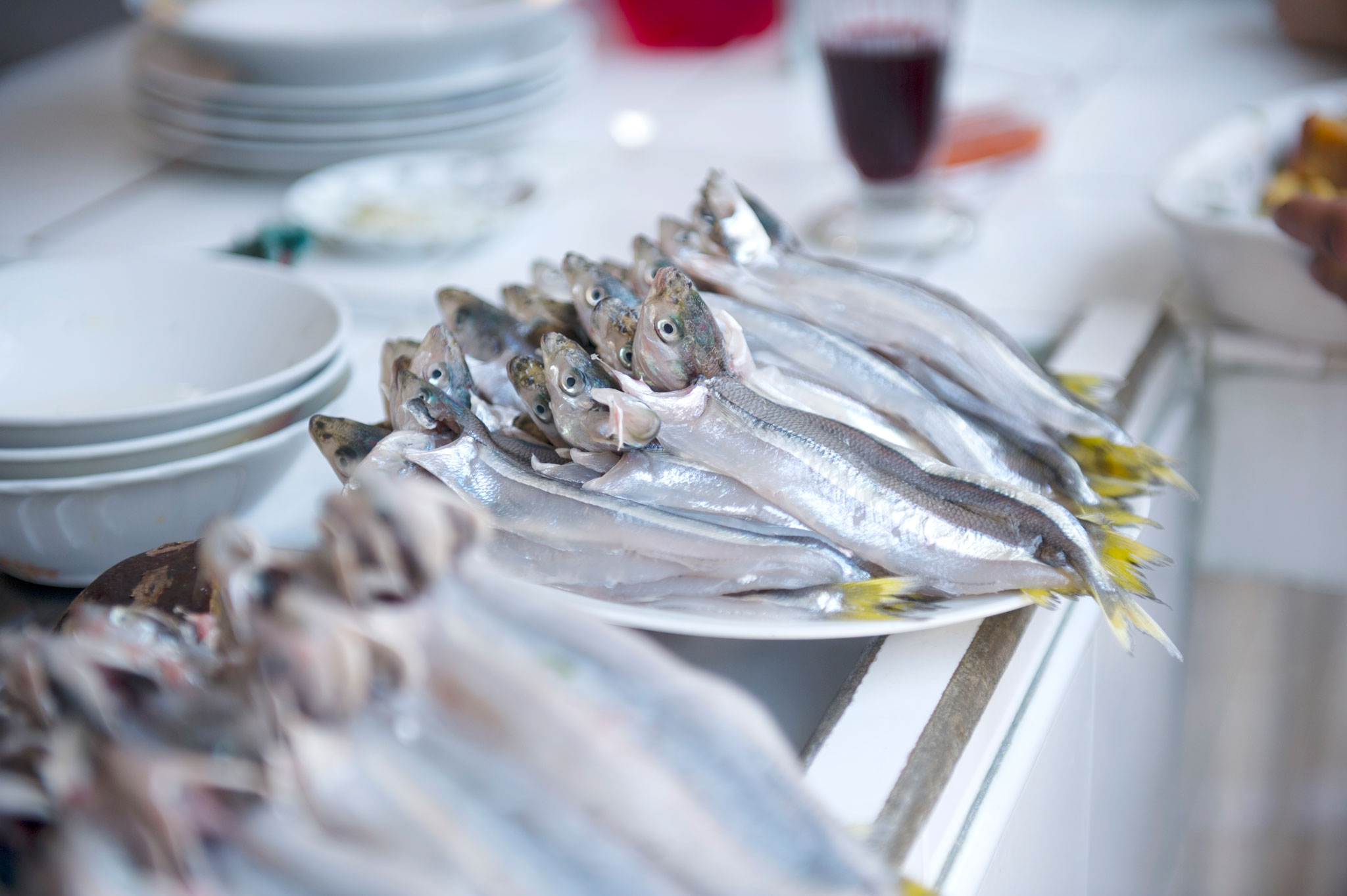 ADNCeviche4_2048.jpg