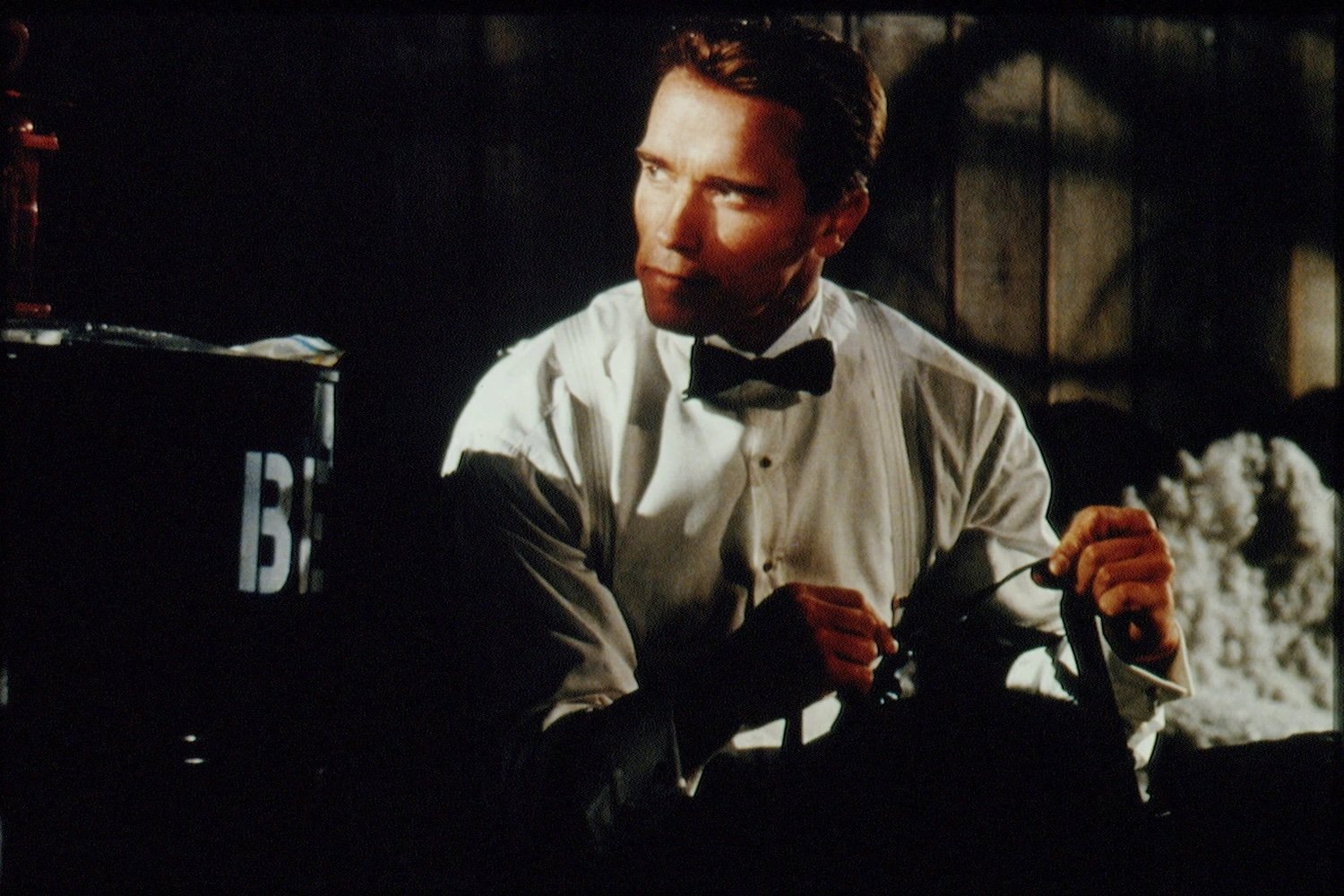 True-Lies-image12.jpg