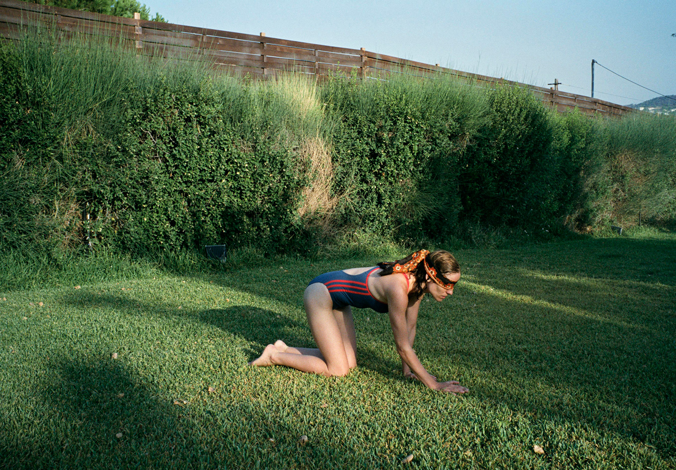 dogtooth-02.jpg