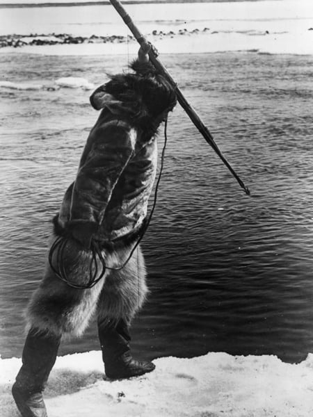 Nanook_of_the_North__Ph___1_.jpg