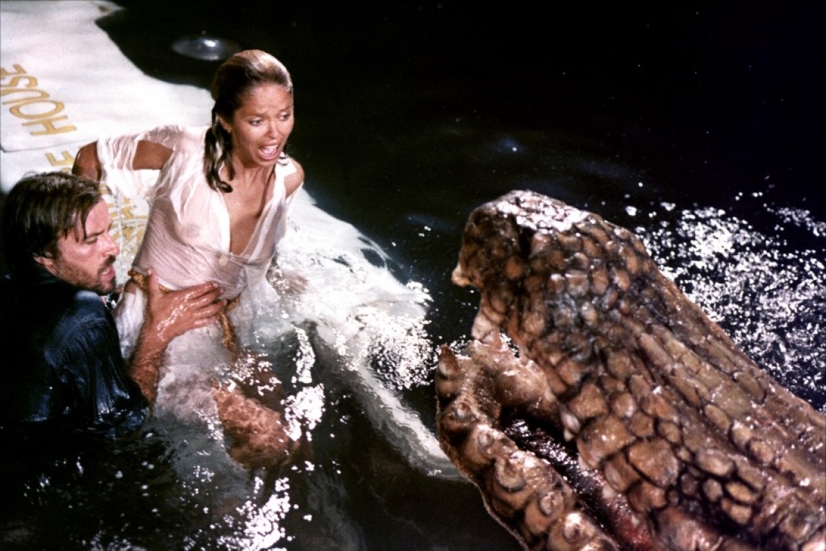 Alligator-image2.jpg