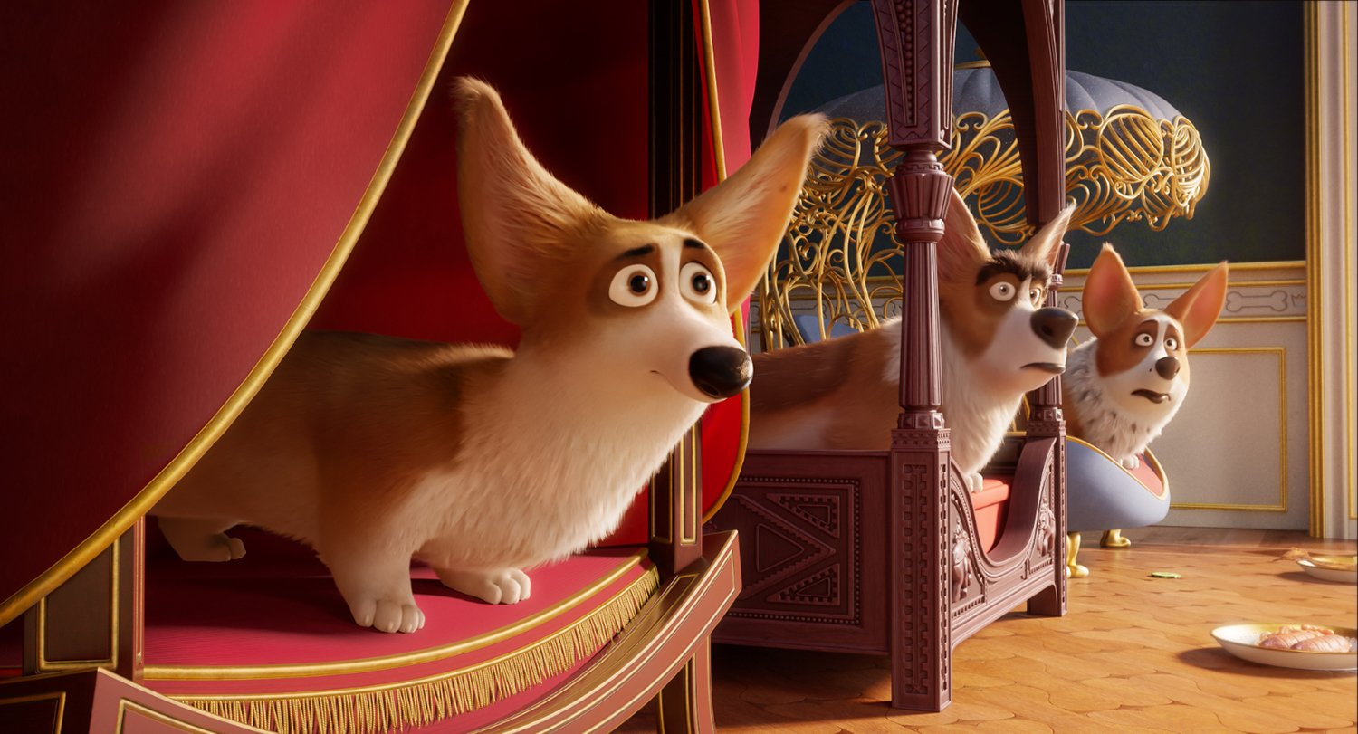 RoyalCorgi1HD.jpg