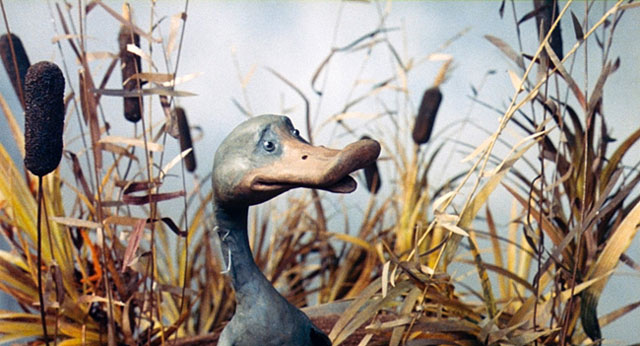 VilainPetitCanard2.jpg