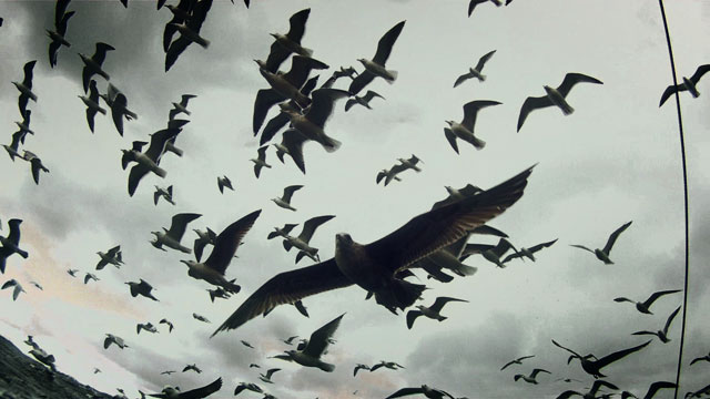 Leviathan6.jpg