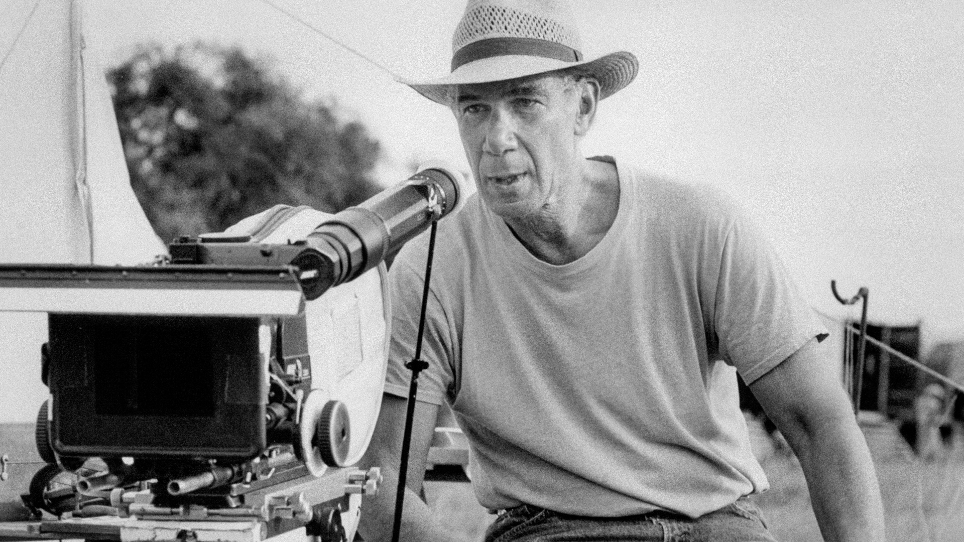 Bob Rafelson (1933-2022) image