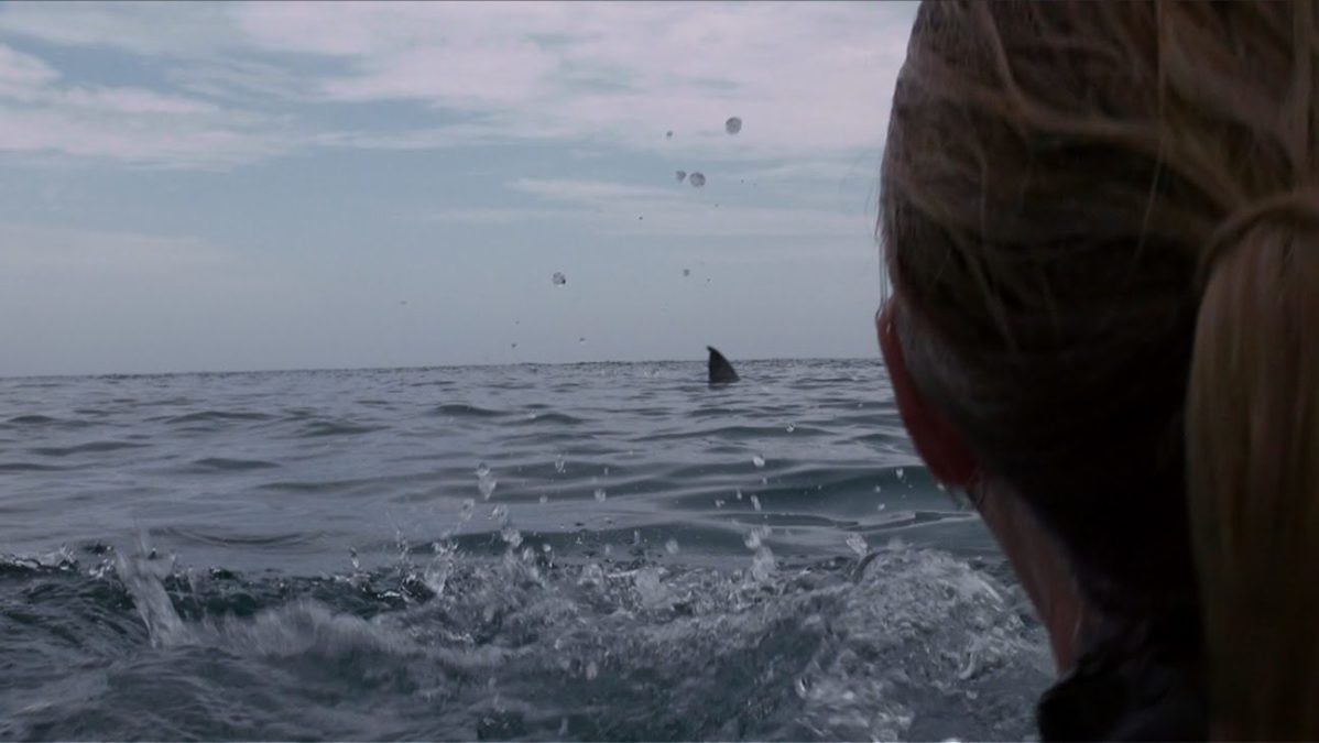 Open-Water-3-image9.jpg