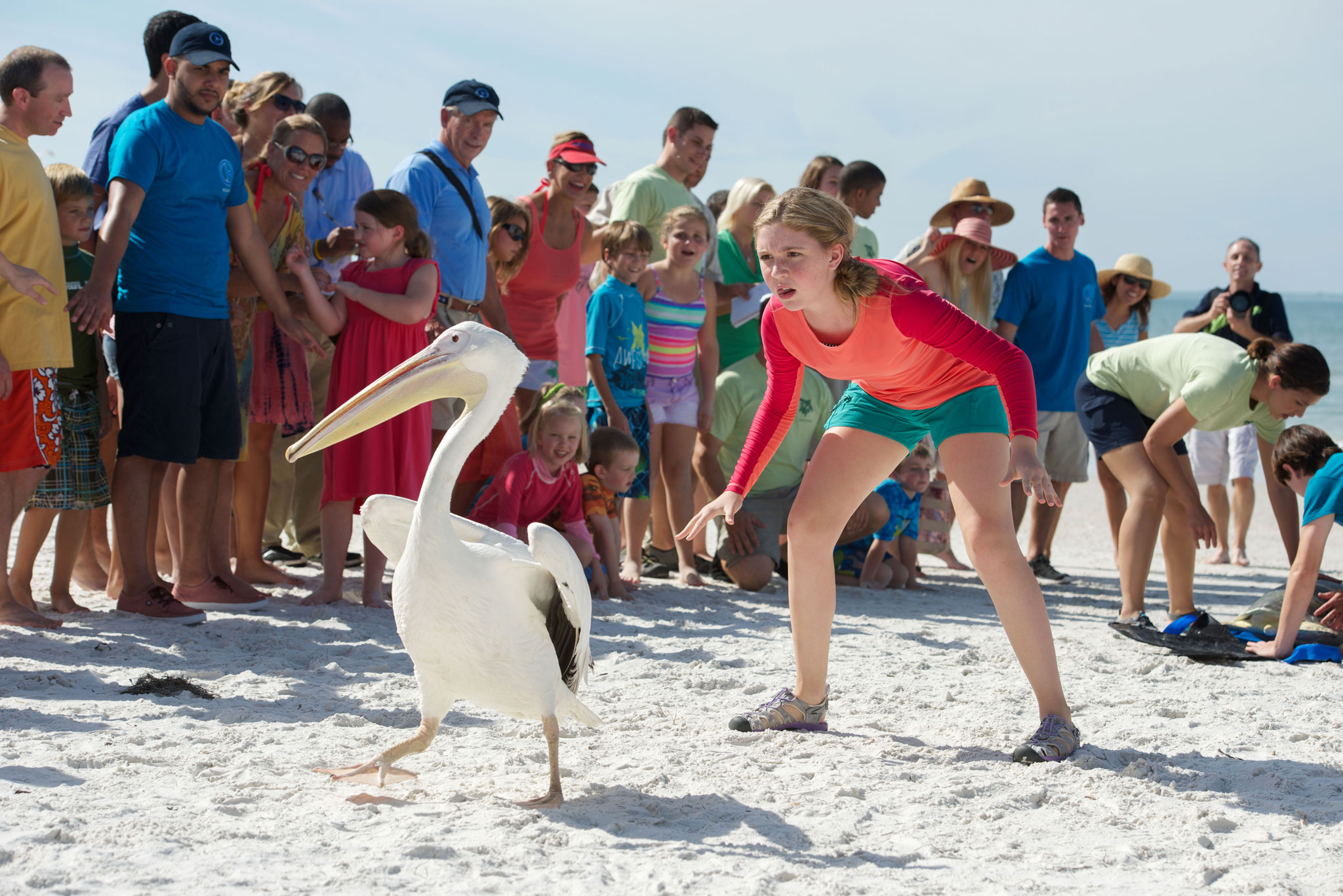 DolphinTale26_2048.jpg