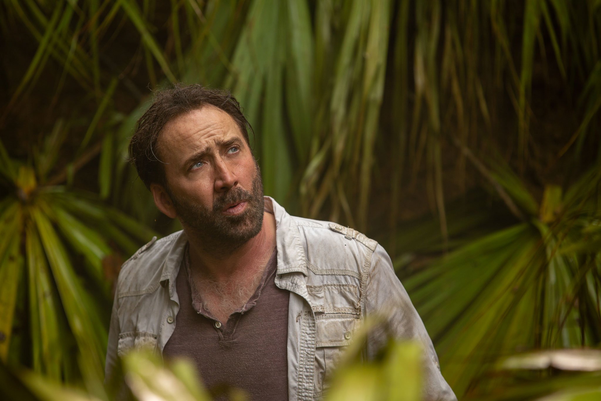 Nicolas_Cage_in_Primal.jpg