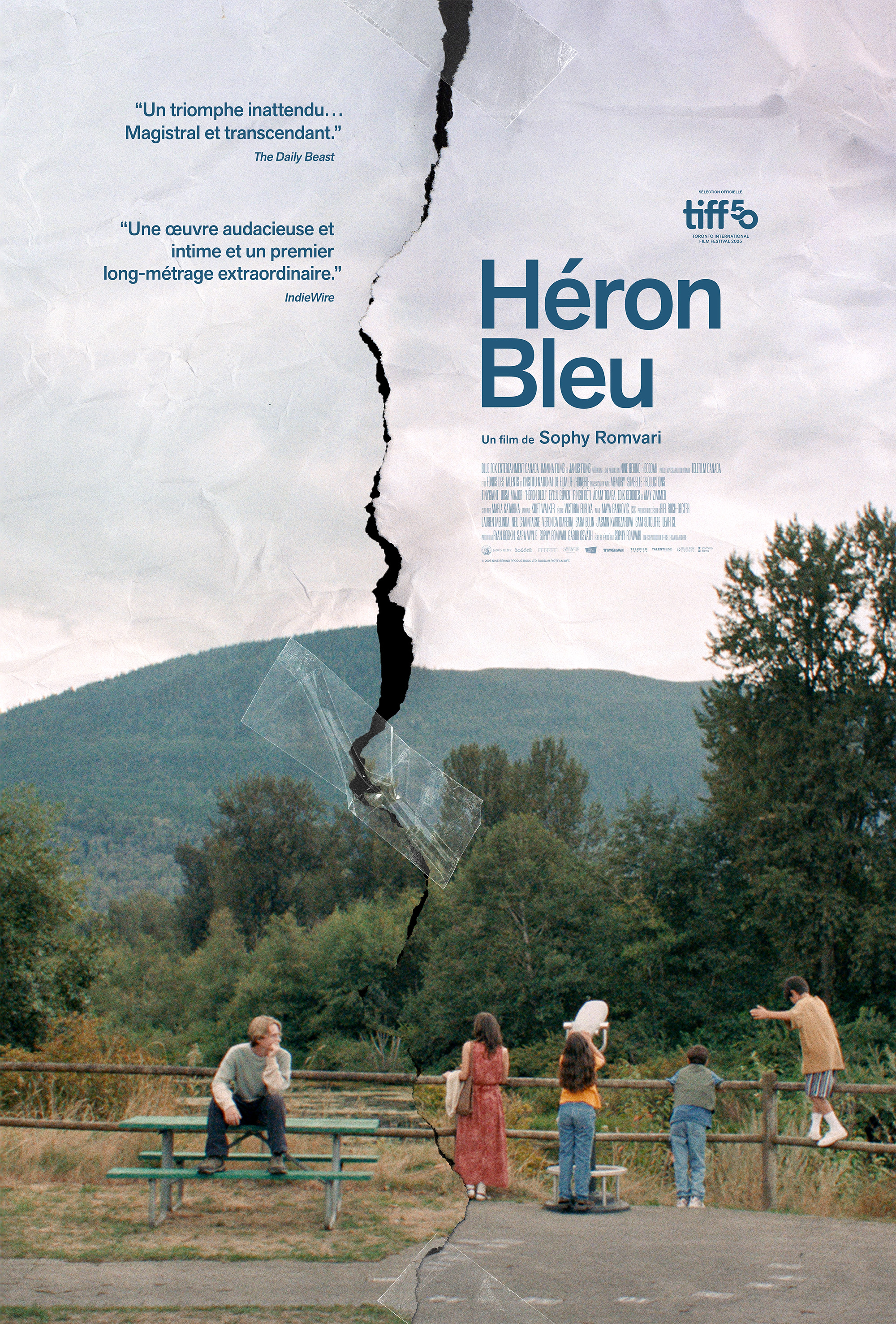 Héron bleu (Blue Heron)
