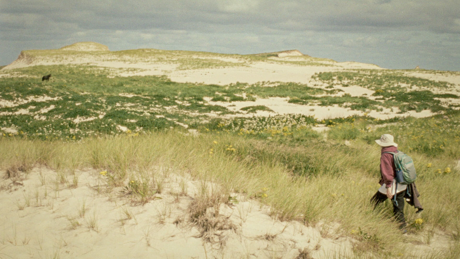 Geographies of Solitude, premier film québécois réalisé par une femme à obtenir la cote (2) image