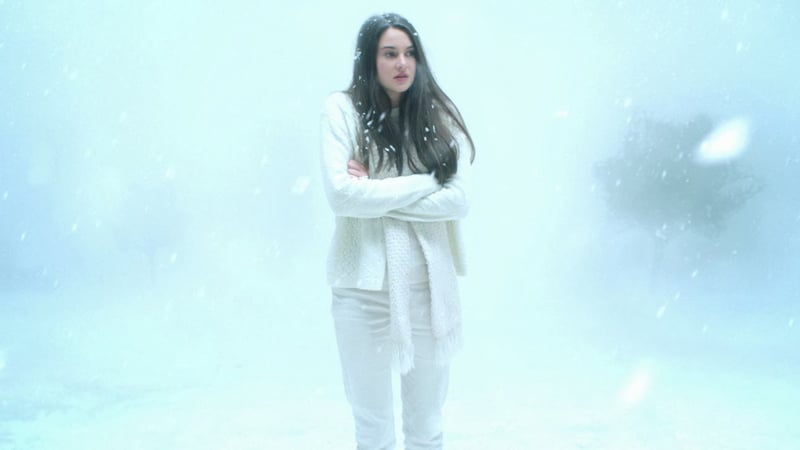 White_Bird_in_a_Blizzard__Ph___1_.jpg