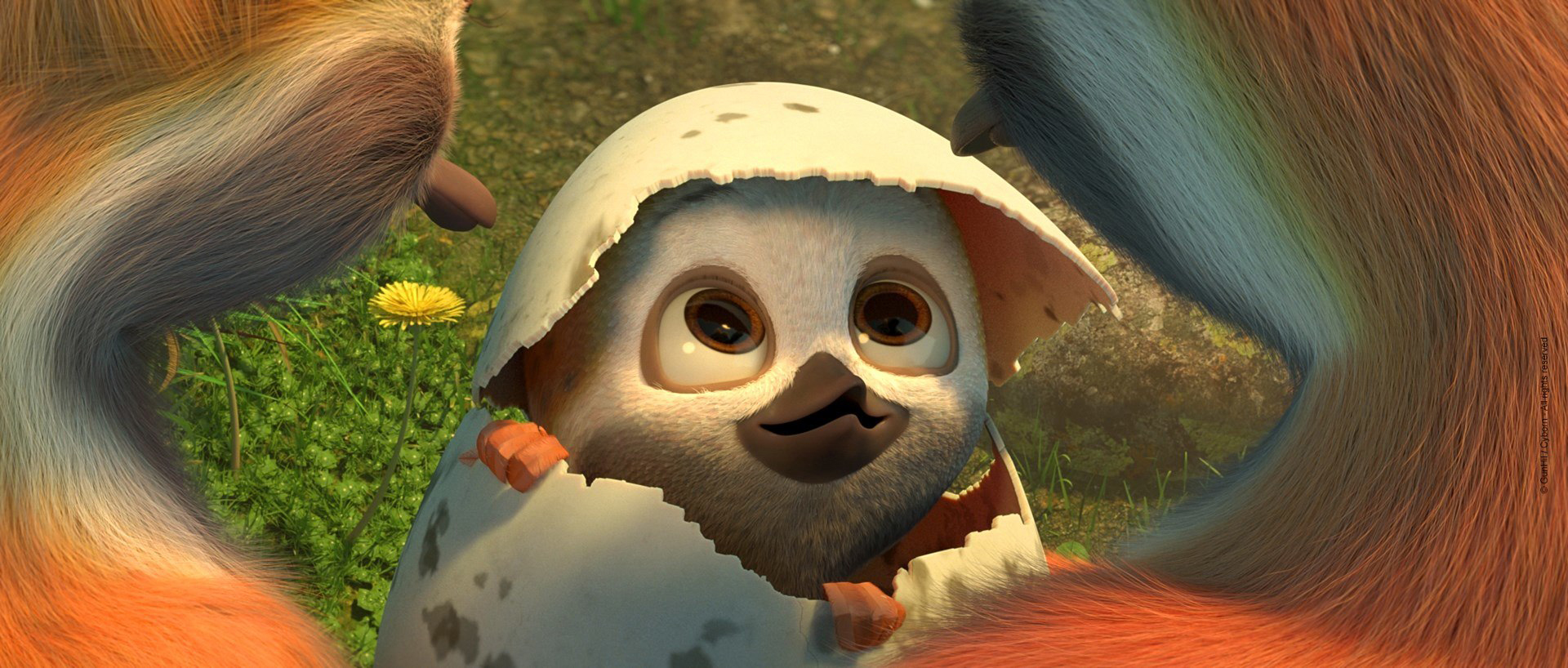 Ploey1HD.jpg
