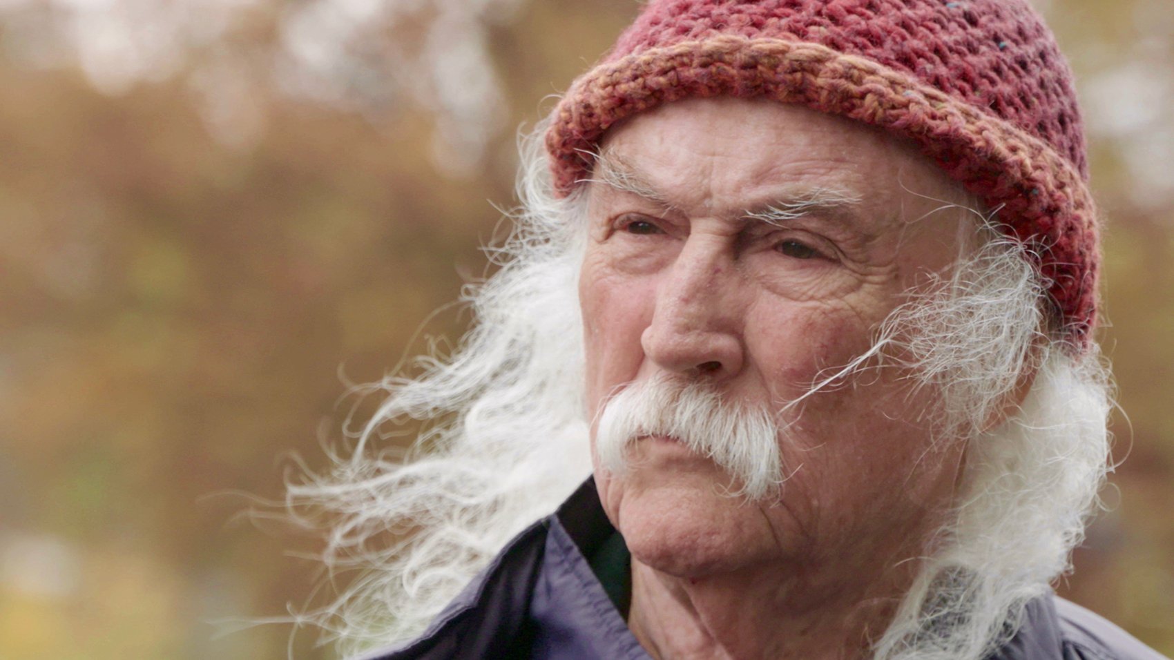 DavidCrosby1HD.jpg