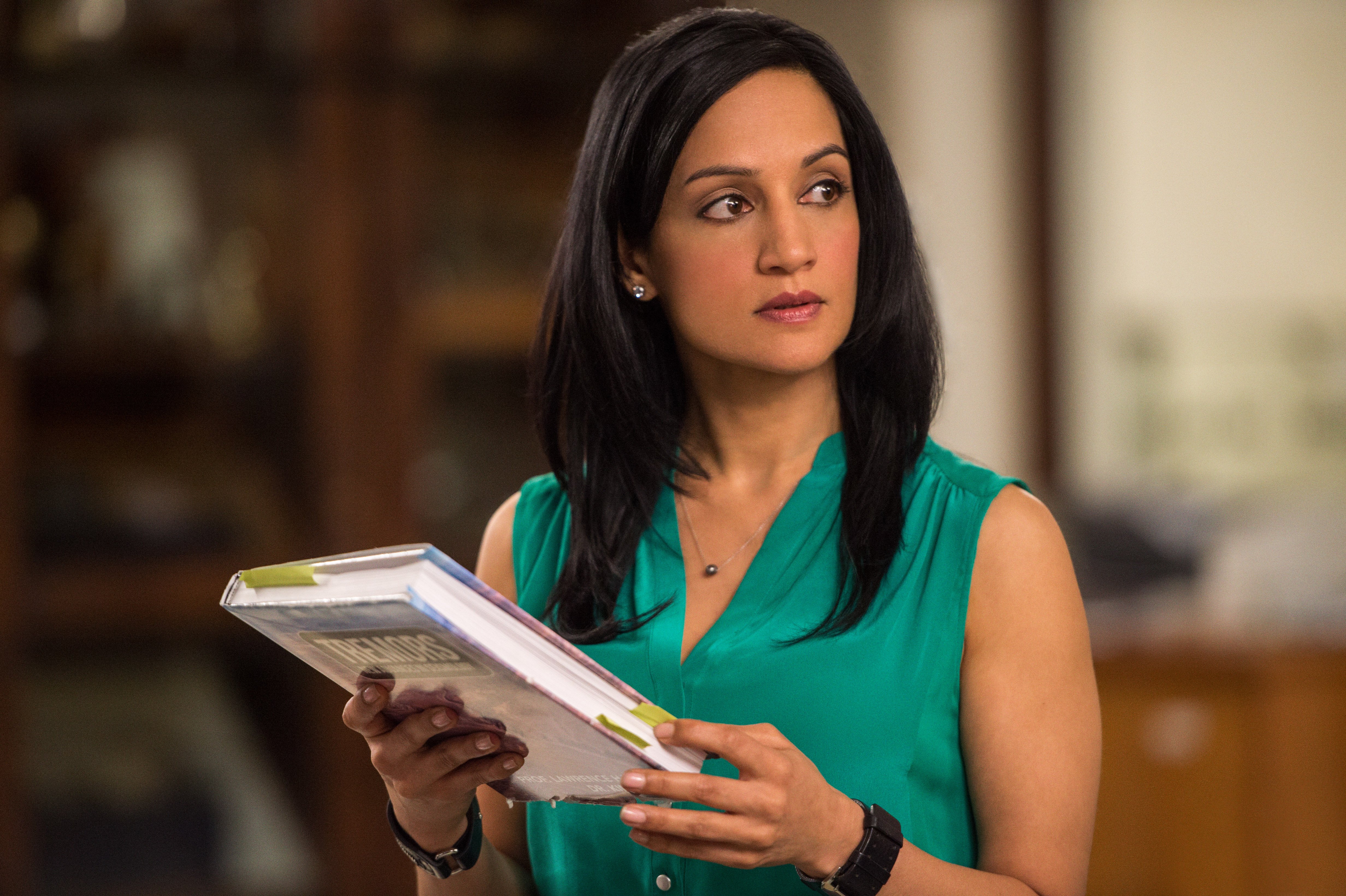 SanAndreas_ArchiePanjabi_2.jpg