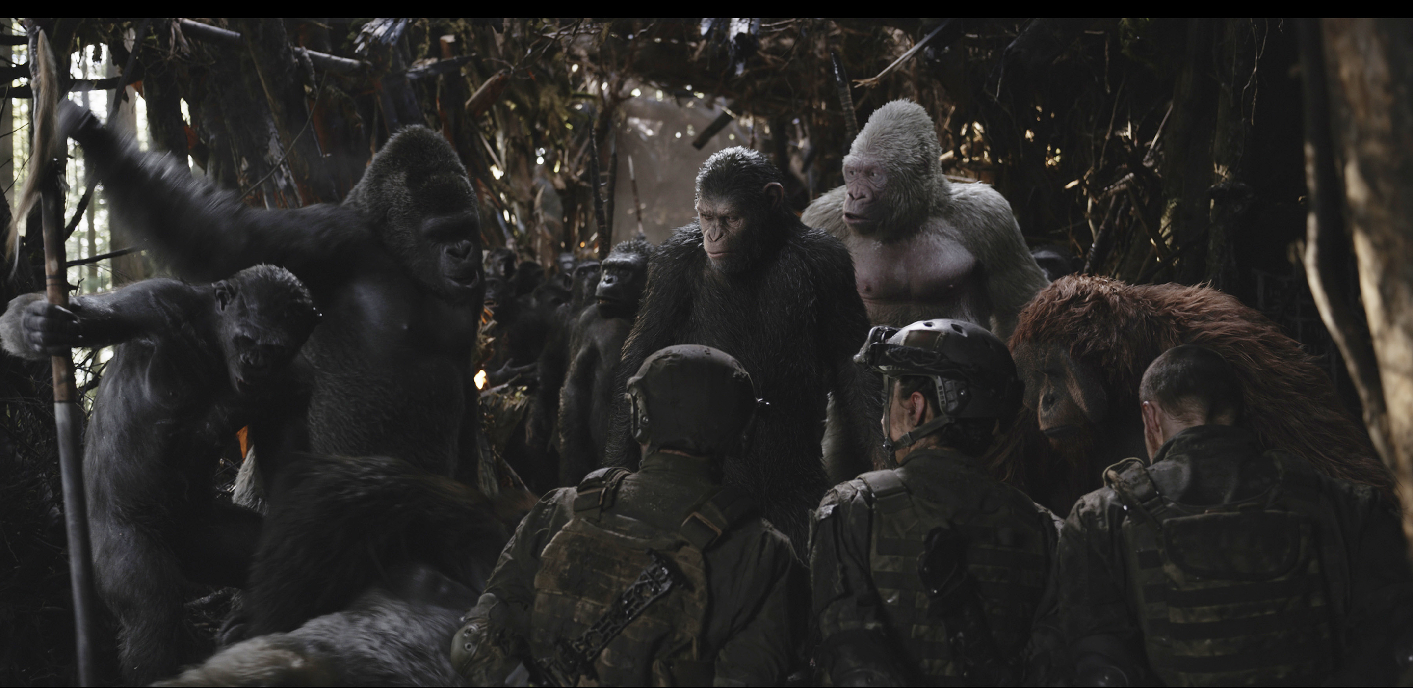 WarForPlanetOfTheApes_AleksPaunovic_AlessandroJuliani_KarinKonoval_TyOlsson_AndySerkis_MichaelAdamthwaite_GabrielChavarria_3.jpg