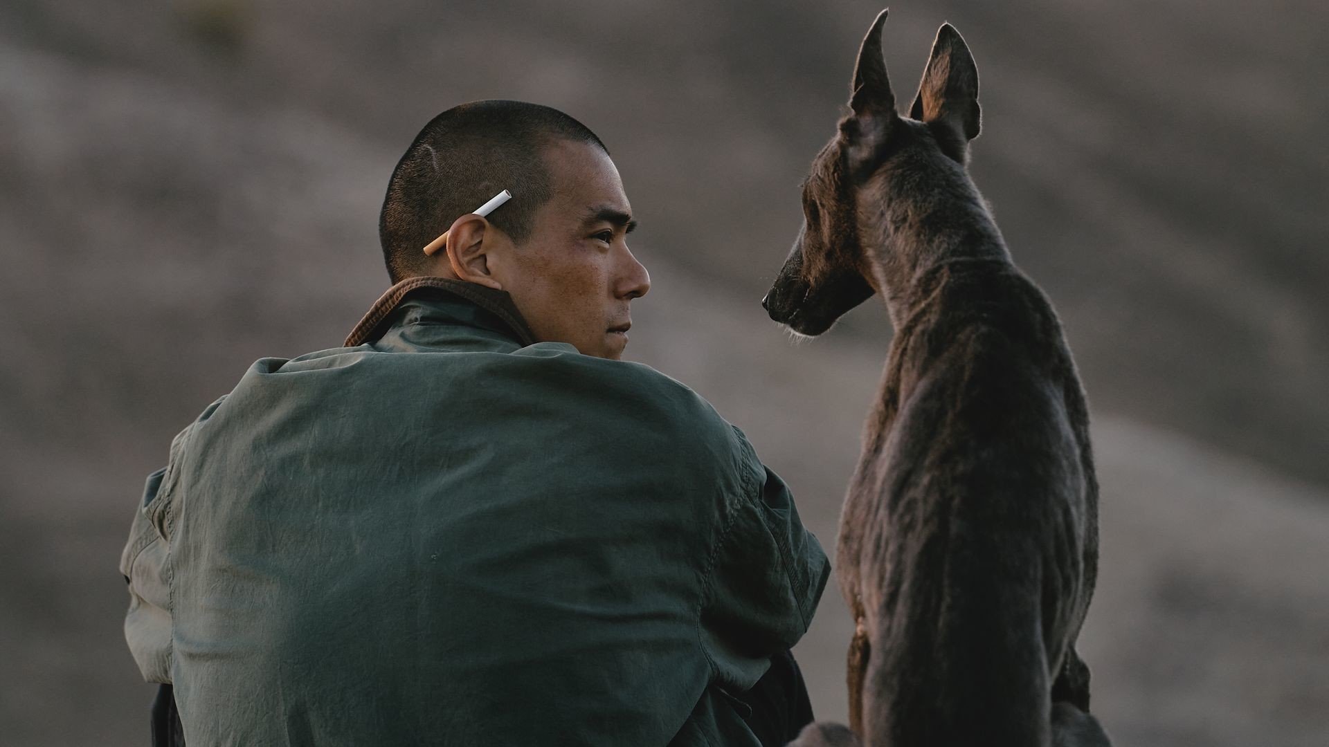 Le Chien noir (Gou zhen)