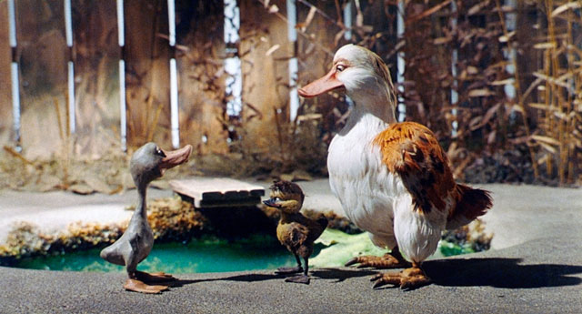 VilainPetitCanard1.jpg