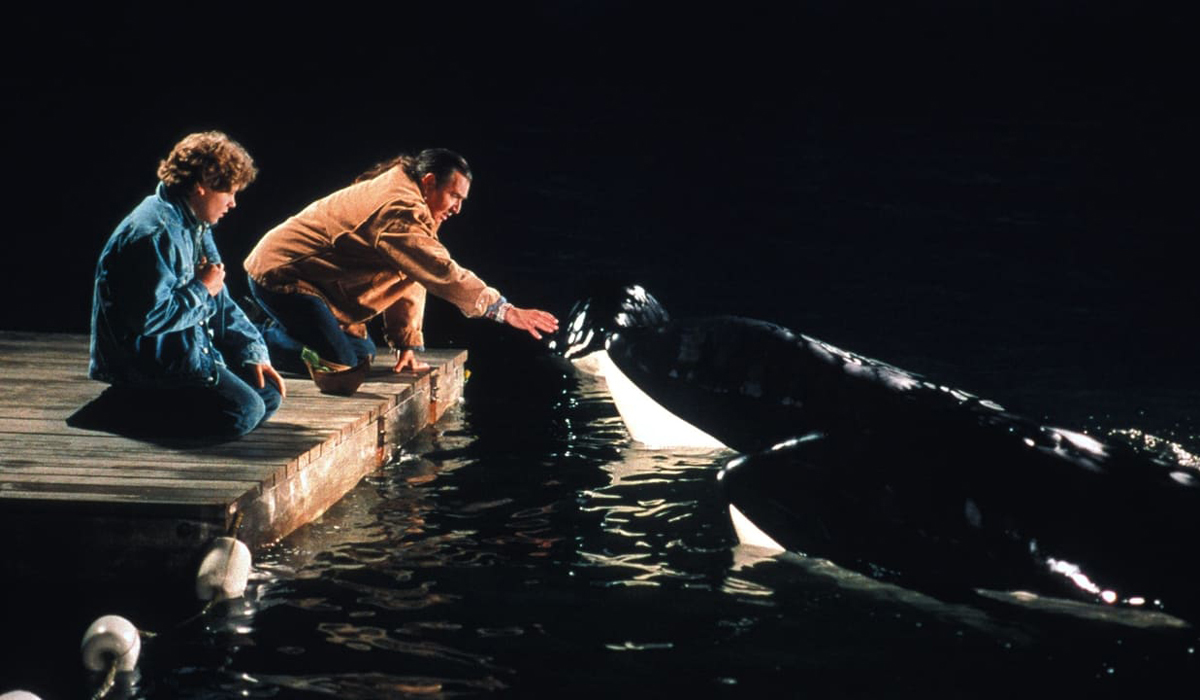 Free-Willy-2-image-03.jpg