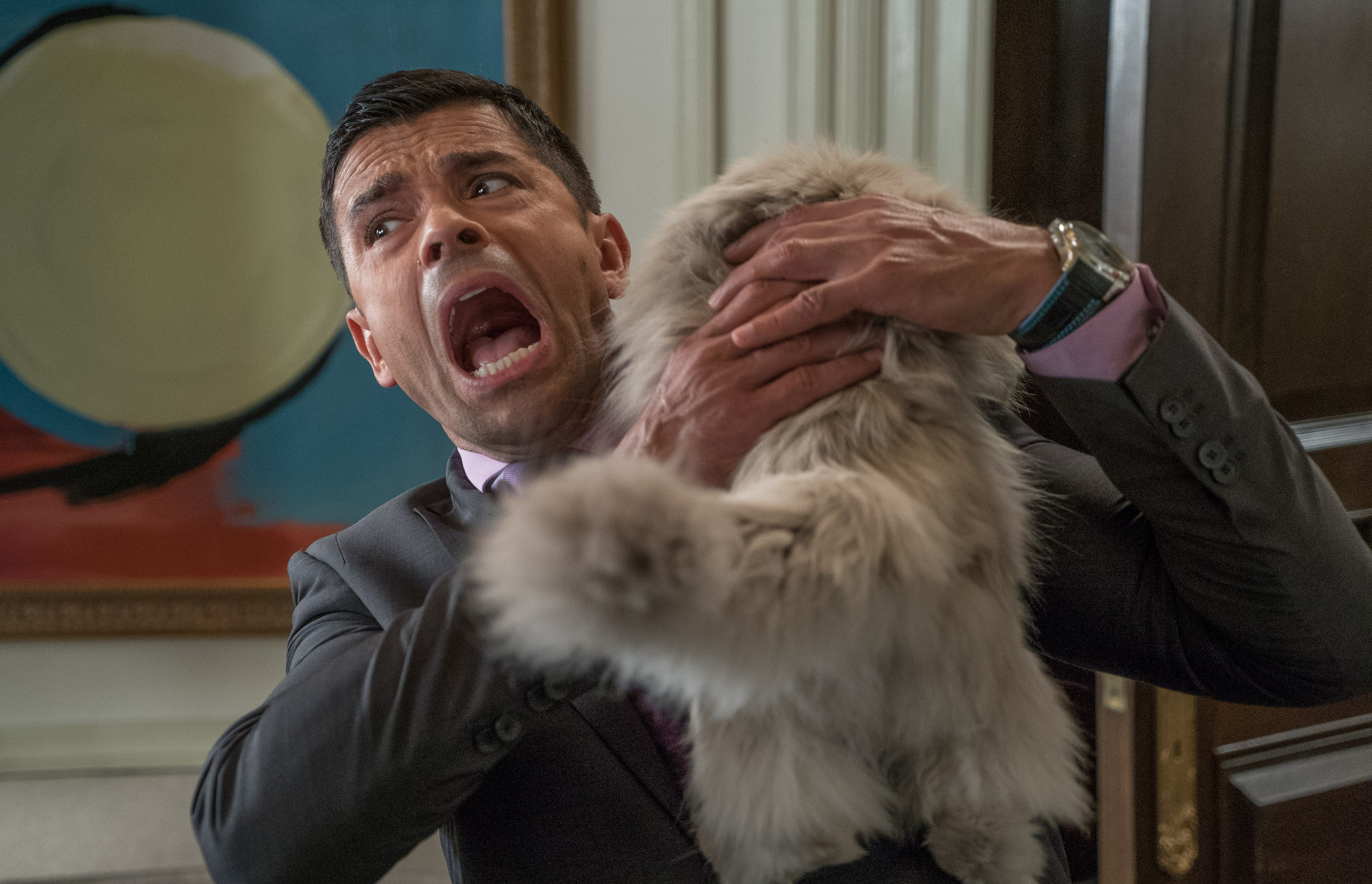 NineLives_MarkConsuelos_4.jpg