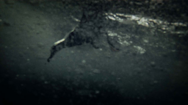 Leviathan5.jpg