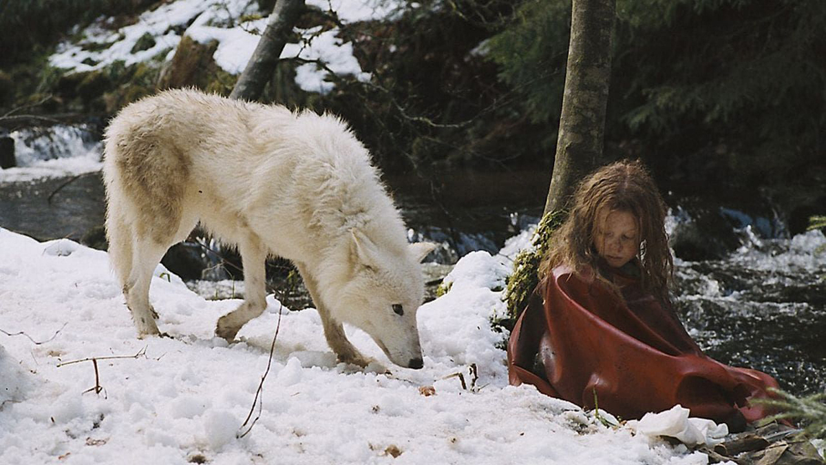 Survivre-avec-les-loups-image-01.jpg