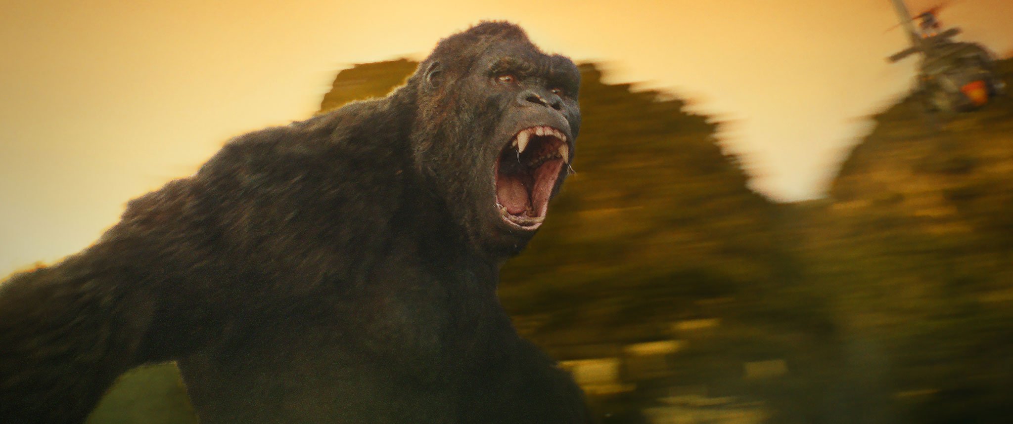 KongSkullIsland3_2048.jpg