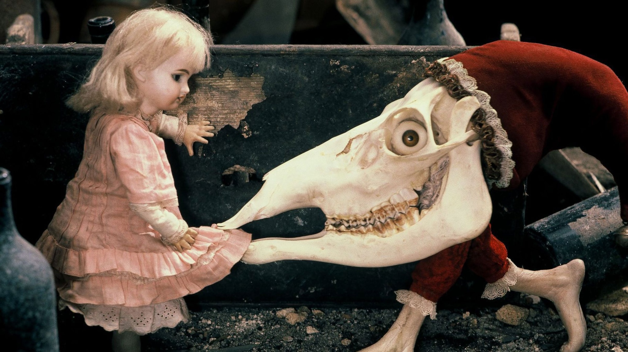 Alice-Svankmajer-image4.jpg