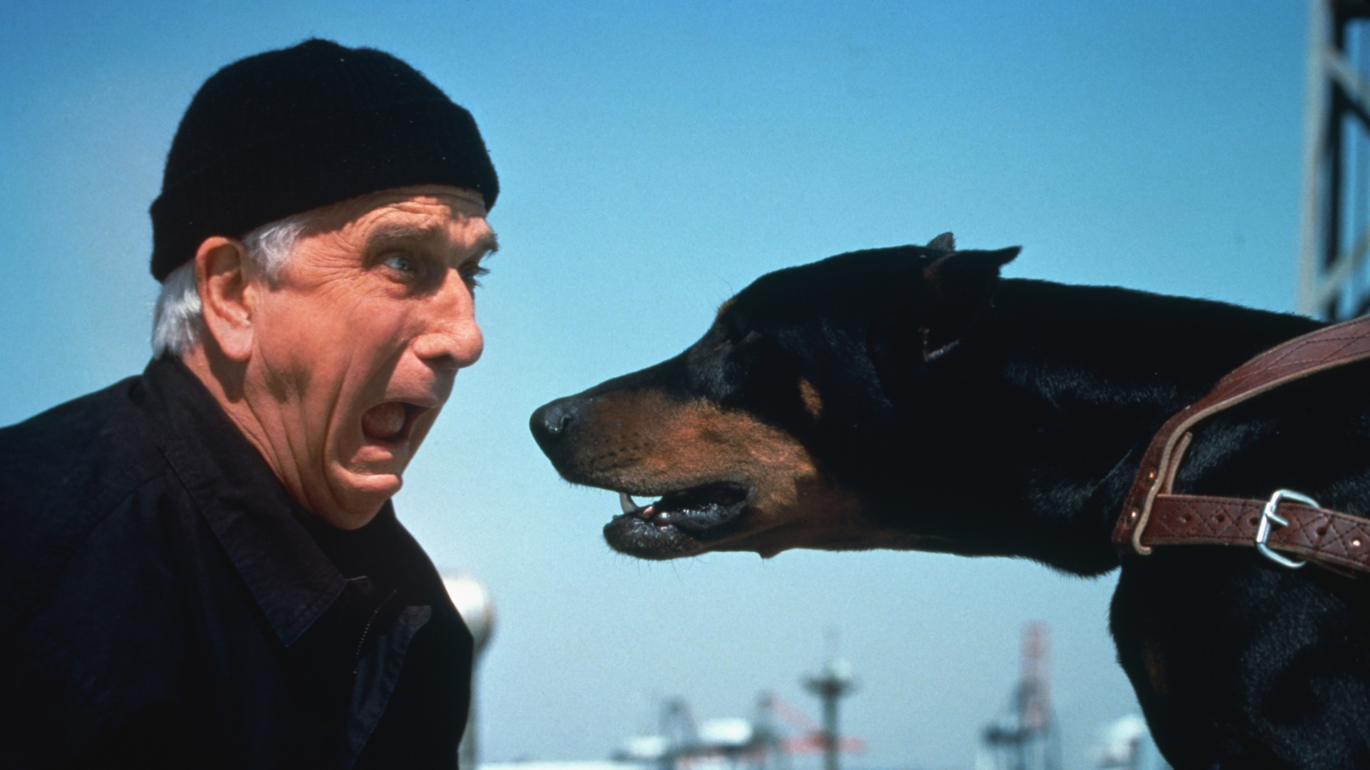 Naked-Gun-2-1-2-image4.jpg