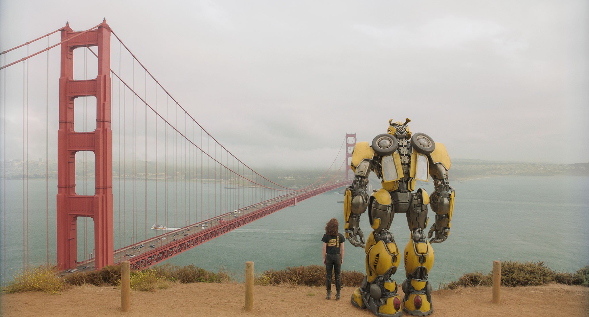 Bumblebee7.jpg